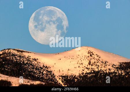 Voller „Worm Moon“-Setting über den Rocky Mountains, Salida, Colorado, USA Stockfoto
