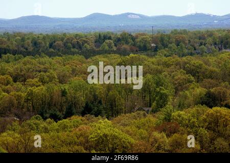 Frühlingslandschaft in den Blue Ridge Mountains, VA, USA. LU (Liberty University)-Monogramm auf dem Freiheitsberg in der Ferne. Stockfoto