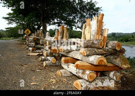 itabuna, bahia / brasilien - 19. juni 2012: Lagerfeuer von Sao Joao zum Verkauf auf der Autobahn BR 415 in der Stadt Itabuna. *** Ortsüberschrift *** Stockfoto