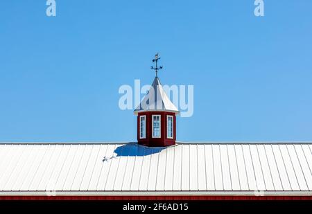 Detail eines Metalldachs, einer Kuppel und einer Wetterfahne Stockfoto