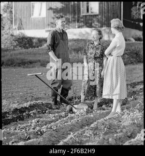 Ein TGOJ-Mitarbeiter zu Hause auf seinem Bauernhof mit seiner Familie am Handpflug. Die Verkehrsgesellschaft Grängesberg-Oxelösund Eisenbahnen. Stockfoto