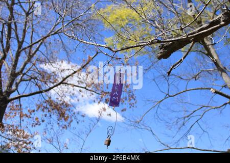 Große Träume Stockfoto