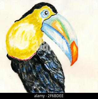 Cartoon Tukan Vogel, tropische Vogel handgezeichnete Illustration. Stockfoto