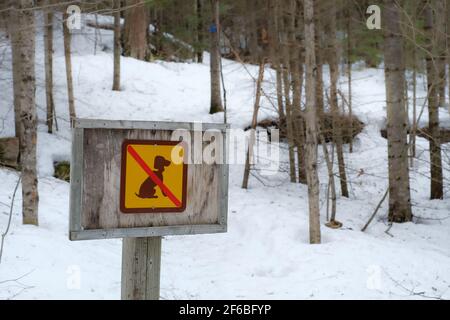 Ein No Dogs Schild an einem Ontario Provincial Park ist im Winter an einem Wanderweg angebracht. Das braune und gelbe Schild zeigt ein silhouetted Hund Symbol mit einem roten Stockfoto