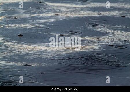 Regentropfen spritzt, hüpft, auf sich bewegenden, leicht aufschwellenden Wasserflächen eines langsam bewegten Flusses. Wirbel mit Hintergrundbeleuchtung. Zum Nachdenken anregende Stimmungsmomente. Stockfoto