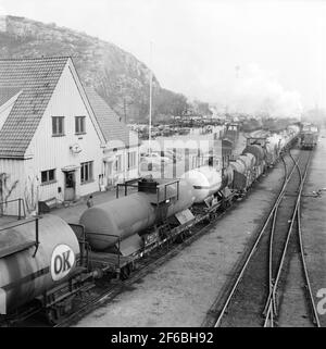 Göteborg. Ölkarren auf dem Hof Sannegården Buke. Stockfoto