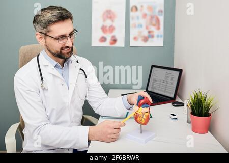 Konzept des Berufs Kardiologe, World Heart Day. Positiver Kardiologe, der einen medizinischen Mantel trägt, der ein anatomisches Herzmodell zeigt Stockfoto