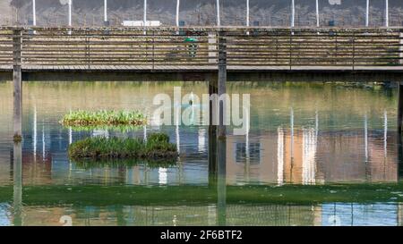 Holzbrücke über den Teich Stockfoto