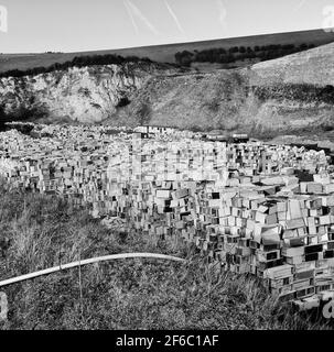 Alte Kühlschränke und Kühlschränke warten auf das Recycling im temporären Lagerort von Greystone Quarry, Southerham Pit bei Lewes, East Sussex, England. 2003 Stockfoto