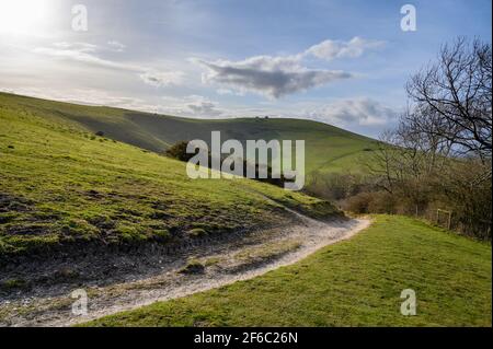 Fußweg und hügelige Wiesen auf Wolstonbury Hill im South Downs National Park in West Sussex, England. Stockfoto