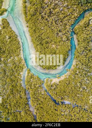 Blick von oben auf den türkisfarbenen Fluss, der sich im Wald schlängelt. Luftaufnahme von Neuseeland fantastische Landschaften und Landschaften. Stockfoto