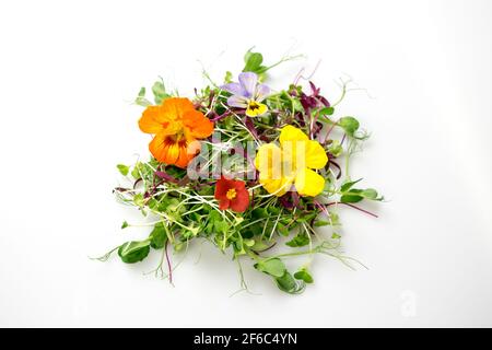 Essbare Blüten und Mikrogrüns mischen sich isoliert auf Weiß: pea-Triebe, Brokkoli, Orangen, Kapuzinerkresse, Begonia, viola Stockfoto