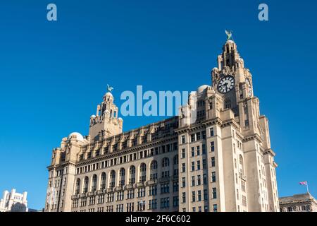 Liver Birds Statuen auf dem Royal Liver Building am Pier Head, Liverpool Stockfoto