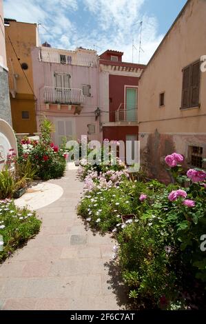 Stadtbild von Carloforte, Insel St. Pietro, Sulcis Iglesiente, Carbonia-Iglesias, Sardinien, Italien, Europa Stockfoto