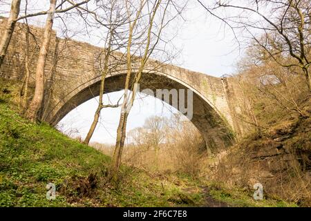 Causey Arch die älteste erhaltene Eisenbahnbrücke der Welt. In der Nähe von Stanley, Co Durham, England, Großbritannien Stockfoto