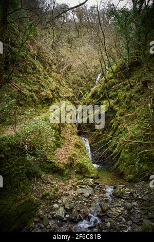 Eine Holzbrücke über den Bach bei Dhoon Glen, Isle of man Stockfoto
