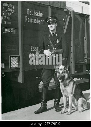 Schwedische Bahnpolizei mit Schäferhund vor einem deutschen Militärzug in Richtung Norwegen während des Zweiten Weltkriegs Hier am Hauptbahnhof Östersund. Stockfoto