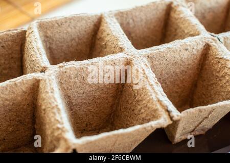 Zellen zum Pflanzen von Samen und Sprossen. Keimzelle für den Hausgarten und den Anbau von Pflanzen zu Hause. Stockfoto