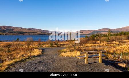 Eine Holzbank mit Blick auf Clatteringshaws Loch an einem sonnigen Wintertag in Dumfries und Galloway, Schottland Stockfoto