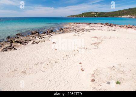 kristallklare Wasser in Cala dello Spalmatore, Strand La Caletta, Carloforte, Insel St. Pietro, Sardinien Stockfoto