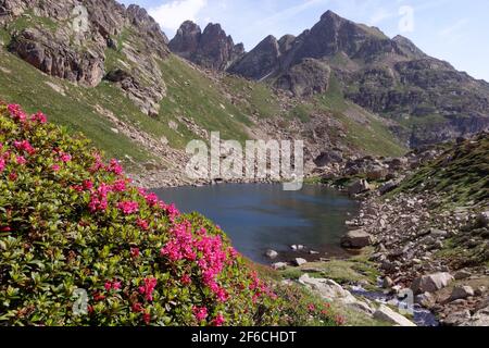 Ariège Berglandschaften (Pyrenäen, Frankreich) Stockfoto