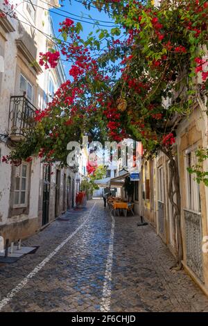 Restaurant und Bougainvillea Blume in einer engen Straße in Tavira, Ostalgarve, Portugal Stockfoto