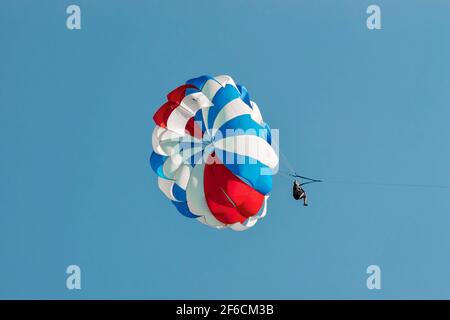 Sonniger Sommertag. Seitenansicht. Stockfoto