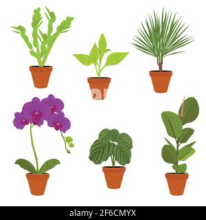 Verschiedene Topfpflanzen Zimmerpflanzen. Garten Topfpflanzen. Vektor Topfpflanzen. Blumentopf bloom Stock Vektor