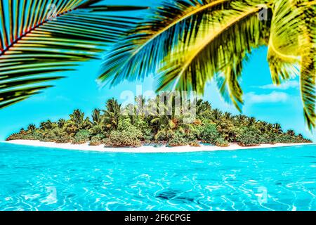 Gesamte tropische Insel im Atoll im tropischen Ozean. Unbewohnt und wilde subtropischen Insel mit Palmen. Das Meer, tropische äquatoriale gehört Stockfoto