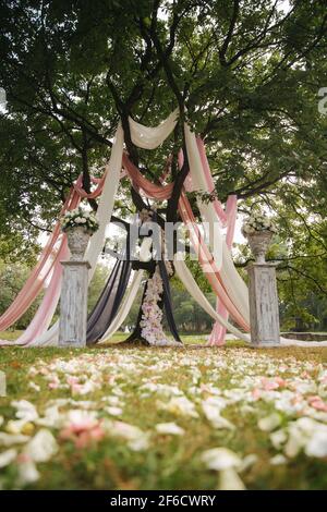 Großer Baum für Hochzeitszeremonie im Freien geschmückt Stockfoto
