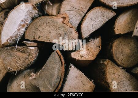 Nahaufnahme von Holzstämme Stockfoto