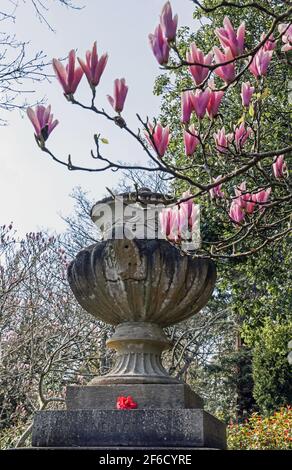 Die Chatham Vase, die angeblich berühmte Briten darstellen soll, in dem kleinen umzäunten Blumengarten gefunden. Nelson und Drake sind auf den gezeigten Gesichtern. Gerahmt Stockfoto