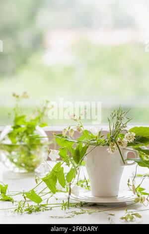 Weißer Becher mit grünen Wildkräutern, Blumen. Romantischer Blumenstrauß auf dem Tisch. Landleben in Hütte und Phytotherapie Heilkräuter Konzept Stockfoto