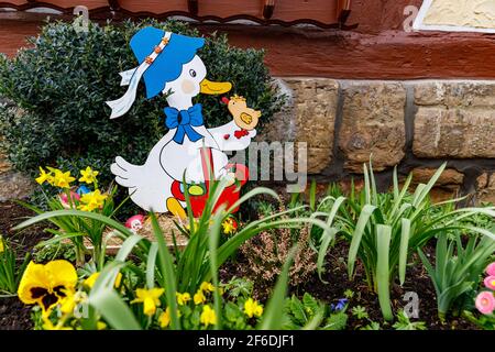 Ente beim traditionellen osterhasen von Herleshausen in Hessen Stockfoto