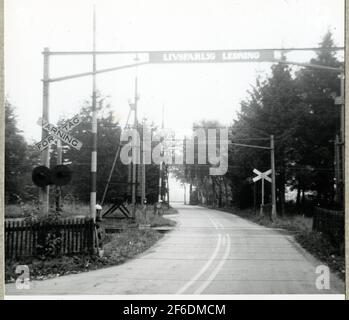 Bahnübergang bei Vegeholm auf der Strecke zwischen Ängelholm und Rögle. Stockfoto