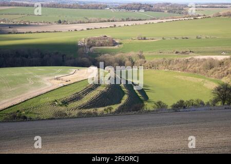 Streifen Sie Lynchets auf Chalk Valley Hügel in der Nähe von Calstone, Wiltshire, England, Großbritannien Stockfoto