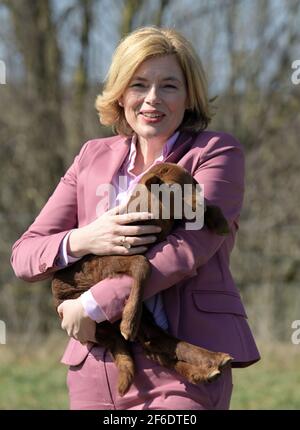 31. März 2021, Brandenburg, Eberswalde/Biesenthal: Julia Klöckner (CDU), Bundesministerin für Ernährung, Landwirtschaft und Verbraucherschutz, lächelt während der Auftaktveranstaltung zum Start der Bundeszentrale für Weidetiere und Wölfe und hält ein braunes Lamm vom Coburger Fuchs-Schaf in den Armen. Ziel des Zentrums ist es, das Zusammenleben von Wölfen und Nutztieren mit verschiedenen Maßnahmen zu verbessern. Foto: Soeren Sache/dpa-Zentralbild/dpa Stockfoto