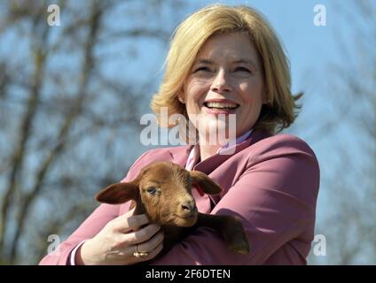 31. März 2021, Brandenburg, Eberswalde/Biesenthal: Julia Klöckner (CDU), Bundesministerin für Ernährung, Landwirtschaft und Verbraucherschutz, lächelt während der Auftaktveranstaltung zum Start der Bundeszentrale für Weidetiere und Wölfe und hält ein braunes Lamm vom Coburger Fuchs-Schaf in den Armen. Ziel des Zentrums ist es, das Zusammenleben von Wölfen und Nutztieren mit verschiedenen Maßnahmen zu verbessern. Foto: Soeren Sache/dpa-Zentralbild/dpa Stockfoto