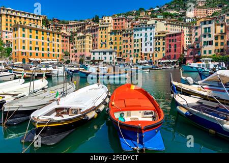 Boote im kleinen Hafen als typische bunte Häuser im Hintergrund in Camogli, Italien. Stockfoto