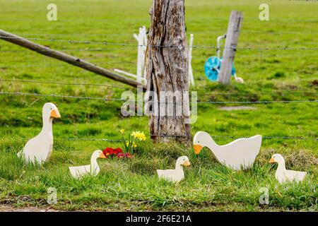 Ente beim traditionellen osterhasen von Herleshausen in Hessen Stockfoto