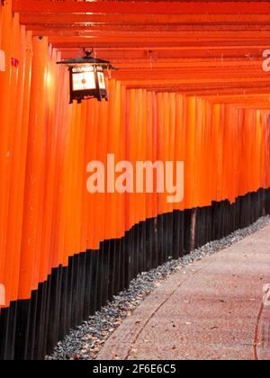 Ein Blick durch den Tunnel aus roten Holz-Torii-Toren mit einer hängenden Laterne am Fushimi Inari Shinto-Schrein in der Nähe von Kyoto, Japan. Stockfoto