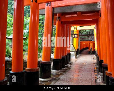 Ein Blick durch den Tunnel aus roten Holztoren am Fushimi Inari Shinto Schrein in der Nähe von Kyoto, Japan. Stockfoto