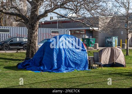 Zelte von Obdachlosen im Alexandra Park in der Bathurst Street Stockfoto