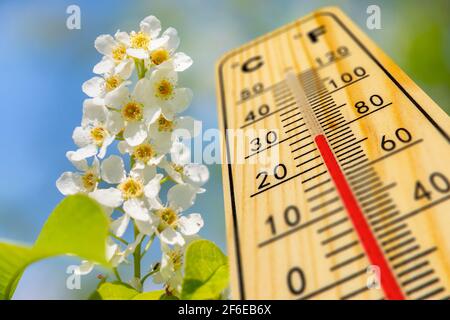 warm temperature on thermometer at springtime Stockfoto