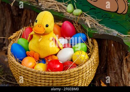 Ente beim traditionellen osterhasen von Herleshausen in Hessen Stockfoto