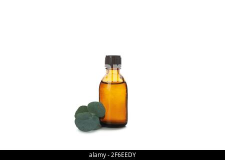 Eukalyptus-Ätheröl in einer braunen Flasche isoliert auf weißem Hintergrund, natürliche Aromatherapie Stockfoto