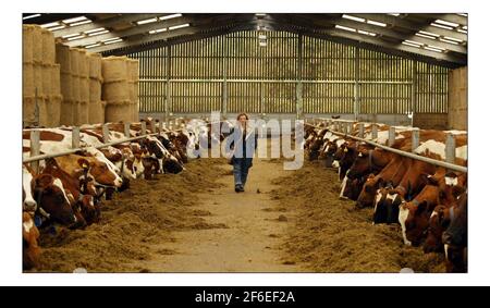 Deborah Ross verbringt den Tag damit, auf der Farm des Prinzen von Wales zu arbeiten: Duchy Home Farm, Broadfield Farm, Tetbury.pic David Sandison 11/10/2005 Stockfoto