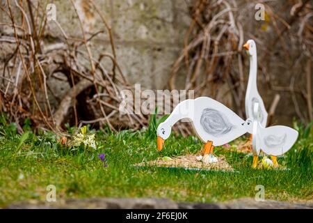 Ente beim traditionellen osterhasen von Herleshausen in Hessen Stockfoto