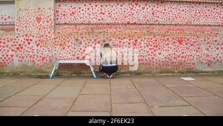 London, Großbritannien. 31st. März 2021. Ein Freiwilliger malt rote Herzen an der National Covid Memorial Wall. Fast 150.000 Herzen werden von Freiwilligen gemalt, eines für jedes Covid-19-Opfer in Großbritannien bis heute, an der Wand vor dem St. Thomas' Hospital gegenüber dem Parlamentsgebäude. Stockfoto