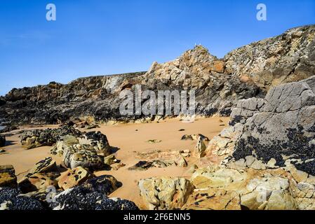 Hochwasser, das Phänomen der Gezeiten im Atlantischen Ozean, einem exponierten Strand vor der Küste Frankreichs. Stockfoto